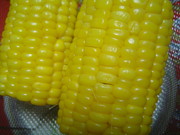 Cd8bed16fdc80e3fcee57ed87f95cac0