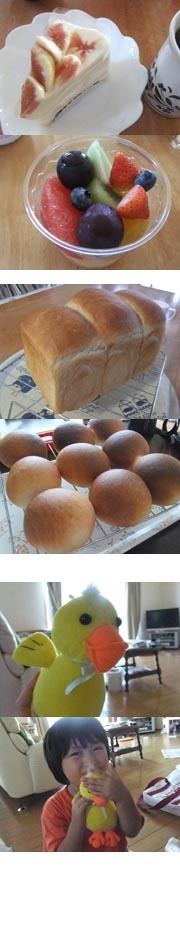 8c7d2384aa3a2378b18205cacde25650
