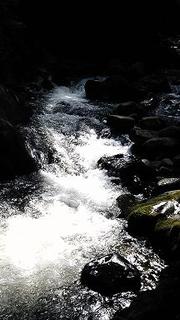 F6764d825310026116fc958fd0d9fe9e