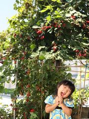 7622fc3f942816f5eef7215d5e1e2b31