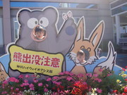 2587d1d9b10ed3611507a69b68b262f6