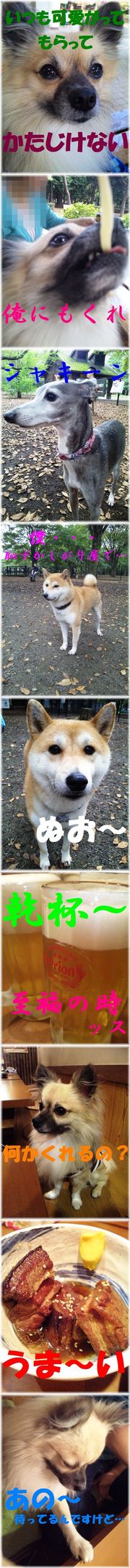 351f340b4c6ead549e56f6573c125e0c