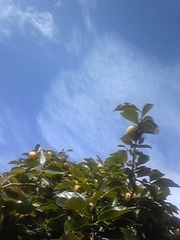 97f21445b8dd7b90fd17fcad485306bc