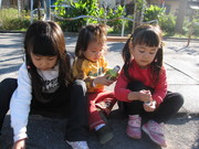 08bf4ff0355003d52f1e1854656ab397