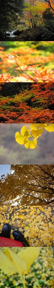 E4ff5bc26915d3d508b3b82941867872