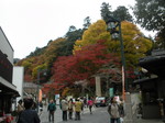 A1081d603aa8db79e3261790e2b10561