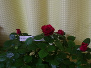 5926ab1041f27ad50b8e3ca6e4796df5