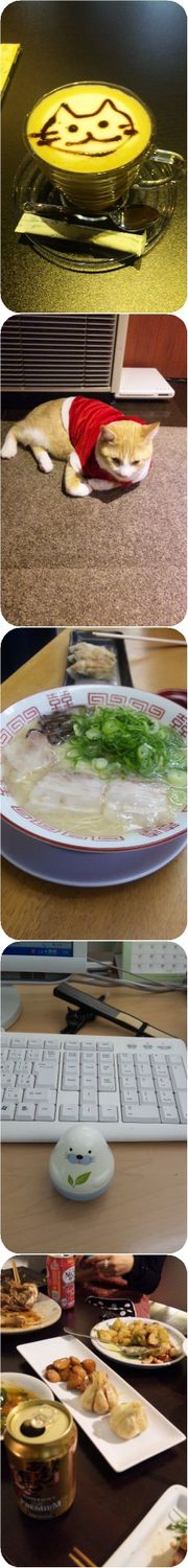 02b5ad235e61a1848b2b3274d5d62be8