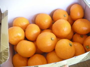3f55a127d721421cf9ab5cca39dbdcaf