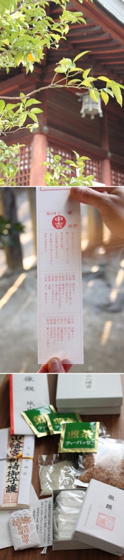 E67b52b5ab6f464602e06929d05ea9be
