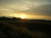 Ca2a2026e28f1f8f68e9a1b3ffe8cf56