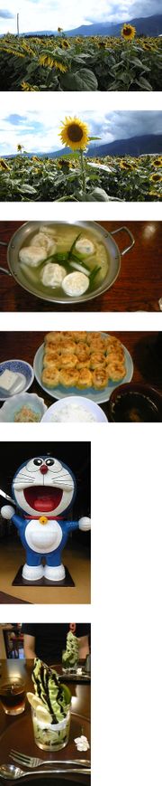 B8dc58dfedd5456425459d6fa45c4c6f