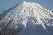 A4772bca58d75a796957afb5466511cc