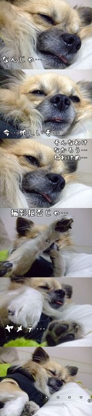 348bb4fc5153df4e052588fb33c00c5b