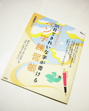 3e9002417ab1fa31986c8cf7dff57275
