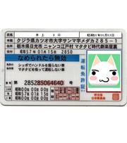 6510d48c83702d0de0547730d05d28bc