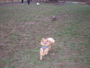 Dd28519e271841ea1a71815eff5df24e