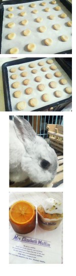 721a509b24b348312f1d0d05a60762cb