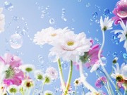 5c4a1fd597363fe71a6c410d86e1c86a