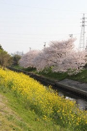 5a5964f12a95883a3f3aa56960cdcf91