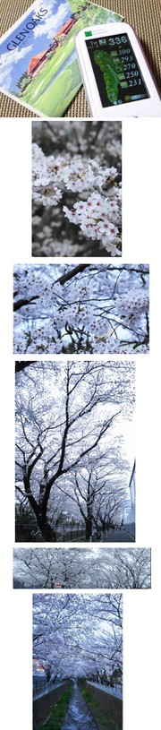 84a379cd4581384201d750186c7b75b0
