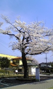 3e396c61a629e6475f058dcaea2eac76