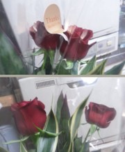 1a33bd649120f0ce677be0b156c02557