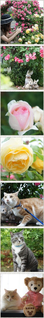 3fb118d0f0f1490458db6b56c2af0830