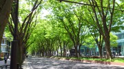 D5409768cf9b9e84122e166e139ddb29