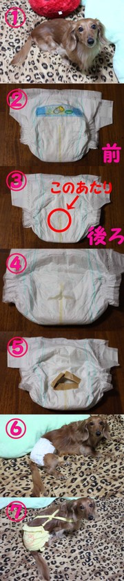 E17703767b1ed47b4e154f296a49a501