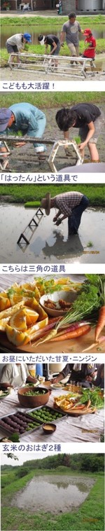 B66b55bddb10b472fa5c7ccea5e29b1b