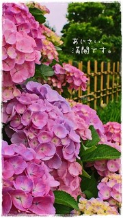9090d15c694b69845d6ab041cfeb8fa1