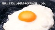 7a85df81f429a1af934714f415e268fb
