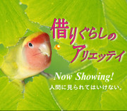 5a39800328094abdf1b605550d1d11d1