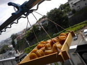 0a7e5743ddab397cf79fb44d8039cd67