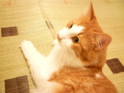 B0bffb16aa3391fb6f3298b1a9983ced