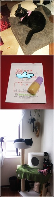 0d7cf206e42067d12c03e96b92f33792
