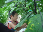 274a47535102977b482709a9a2af3bfa