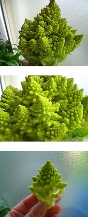 5eebcc40760657e0cc8b0ec618562c7d