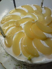 35bb50ed4346ee823fb22e2785aff244