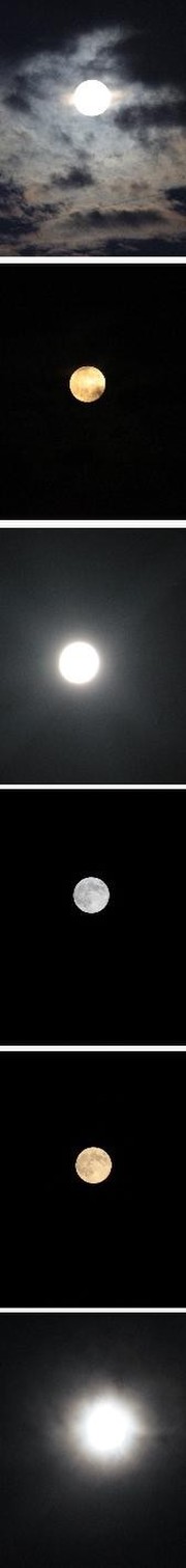 A95037ff18bc142fcac60faa24a29e66