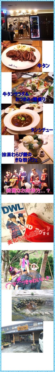 D9d08903ea2d7ae4dfccd2cbd78b3528