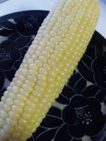 65c5585cd90281fc28aeb429c9cd44bb