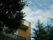 C9903bcbea8d6b5f052cdeb339082db6
