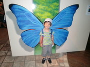 9a3388c181e2dbb70bcc6ee2cf6f4afa
