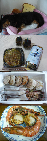 7665c5eb1f0a6d0d868e3002c6ee29c9