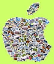2b6676bcb6787229a86802ee89846a7a