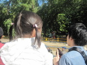 Dee6ba4271eac5c15440b820448a3e86