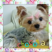 Bb2816fb4a65ef6d6f9364f61dd8c796