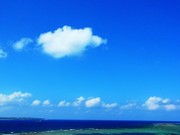 E51c81f82d30c65c4bd5f58eca556c13